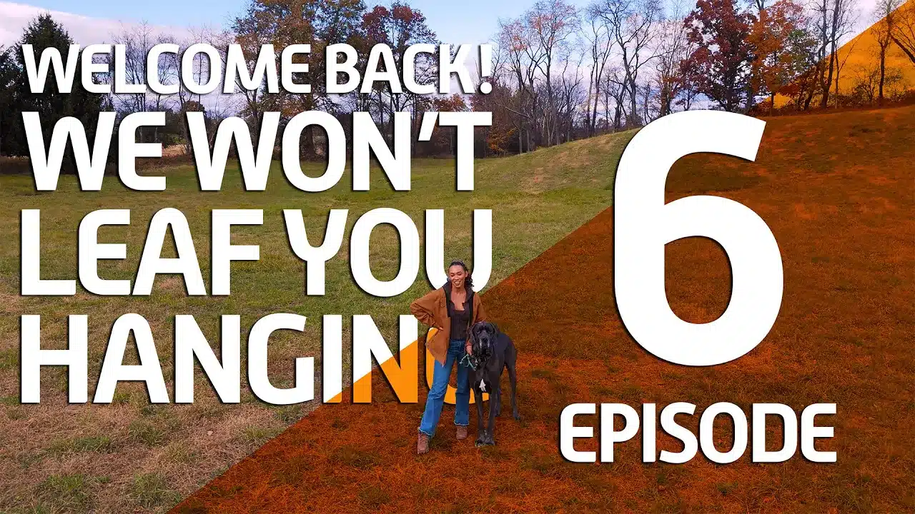Featured image for “Episode 6: It’s fall, we won’t leaf you hanging”
